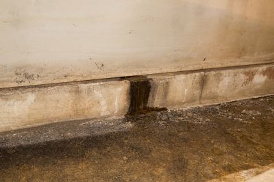 Prevent Mold and Mildew Growth