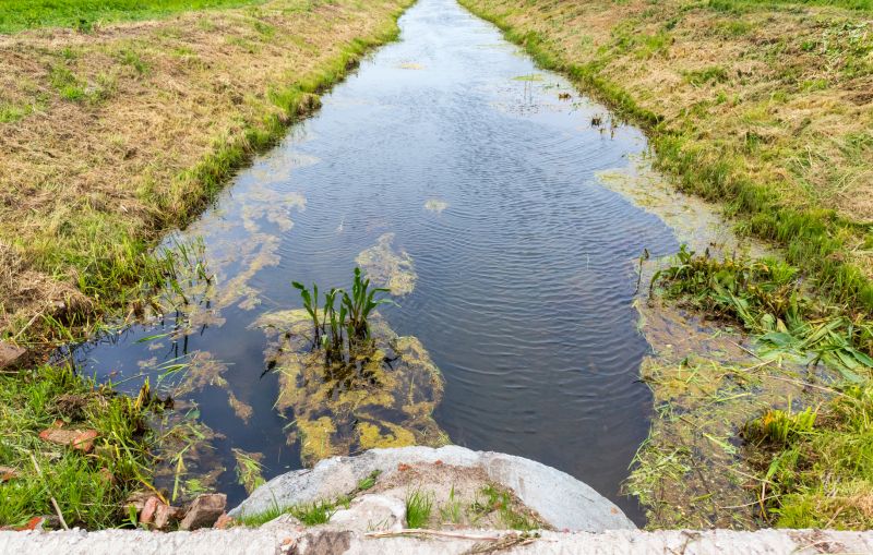 Rainwater Diversion in Tuscaloosa, AL